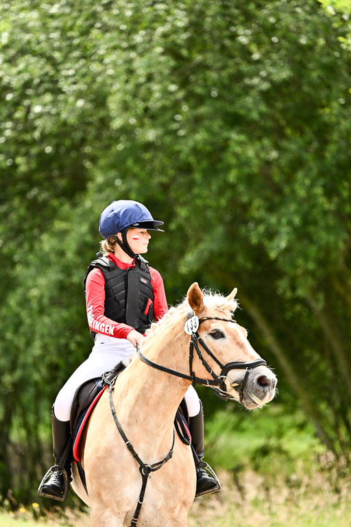 Goldene Schärpe Ponys in Löningen 2026 | 06062026 Gelände 1 Abt_1594 