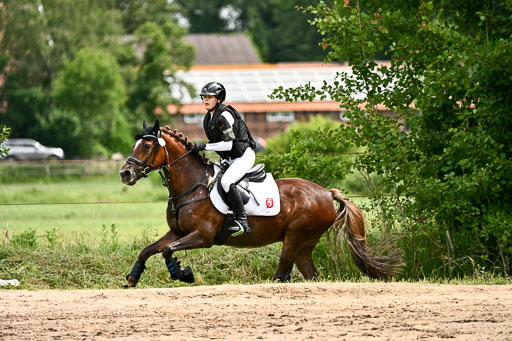 Goldene Schärpe Ponys in Löningen 2026 | 06062026 Gelände 1 Abt_1595 