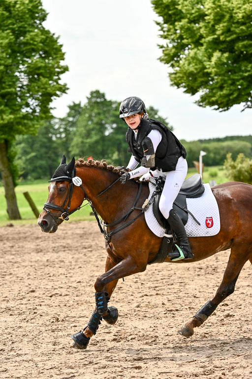 Goldene Schärpe Ponys in Löningen 2026 | 06062026 Gelände 1 Abt_1601 