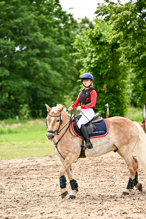 Goldene Schärpe Ponys in Löningen 2026 | 06062026 Gelände 1 Abt_1603 