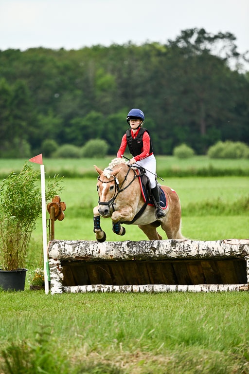 Goldene Schärpe Ponys in Löningen 2026 | 06062026 Gelände 1 Abt_1606 