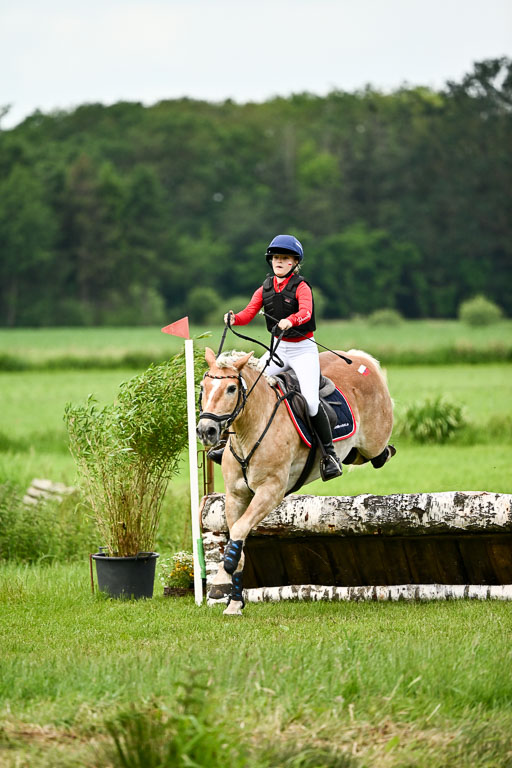 Goldene Schärpe Ponys in Löningen 2026 | 06062026 Gelände 1 Abt_1607 