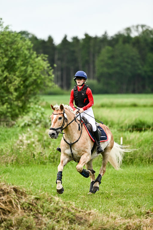 Goldene Schärpe Ponys in Löningen 2026 | 06062026 Gelände 1 Abt_1609 