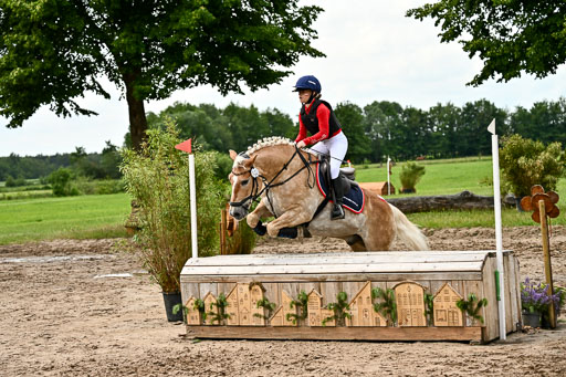 Goldene Schärpe Ponys in Löningen 2026 | 06062026 Gelände 1 Abt_1611 