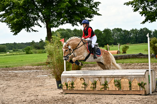 Goldene Schärpe Ponys in Löningen 2026 | 06062026 Gelände 1 Abt_1612 