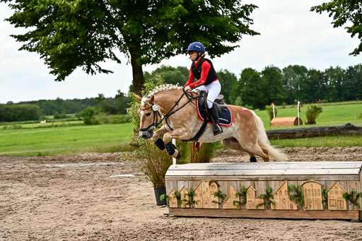 Goldene Schärpe Ponys in Löningen 2026 | 06062026 Gelände 1 Abt_1613 