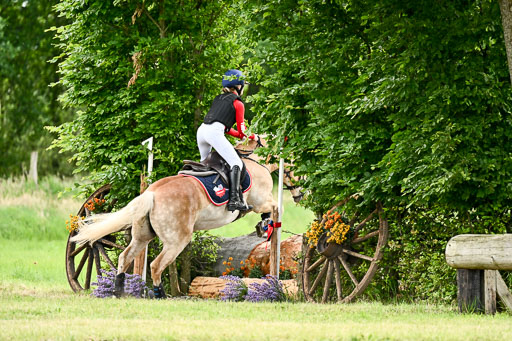 Goldene Schärpe Ponys in Löningen 2026 | 06062026 Gelände 1 Abt_1614 