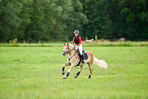 Goldene Schärpe Ponys in Löningen 2026 | 06062026 Gelände 1 Abt_1615 
