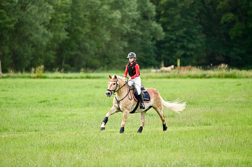 Goldene Schärpe Ponys in Löningen 2026 | 06062026 Gelände 1 Abt_1616 