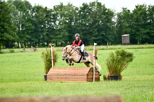 Goldene Schärpe Ponys in Löningen 2026 | 06062026 Gelände 1 Abt_1618 