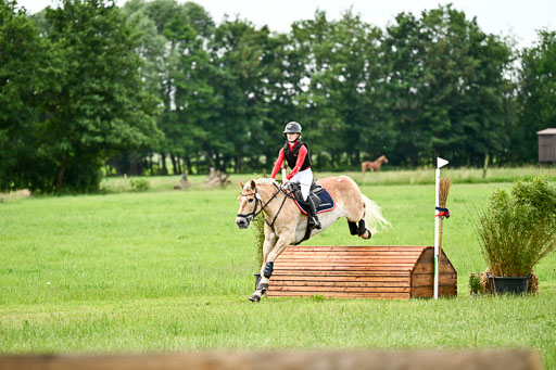 Goldene Schärpe Ponys in Löningen 2026 | 06062026 Gelände 1 Abt_1620 