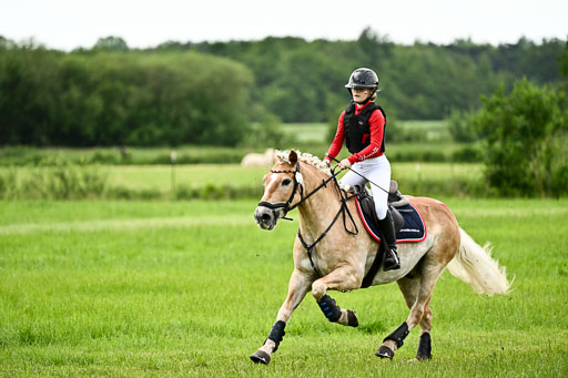 Goldene Schärpe Ponys in Löningen 2026 | 06062026 Gelände 1 Abt_1621 