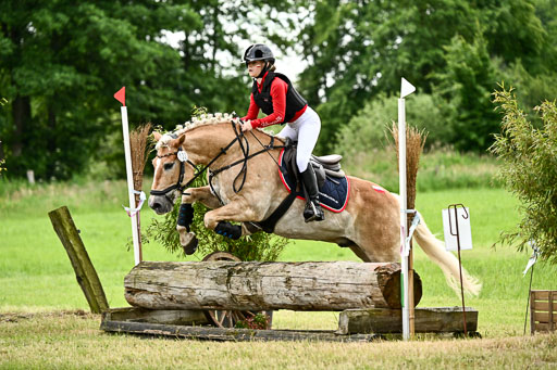 Goldene Schärpe Ponys in Löningen 2026 | 06062026 Gelände 1 Abt_1622 