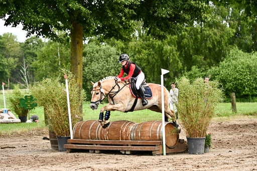 Goldene Schärpe Ponys in Löningen 2026 | 06062026 Gelände 1 Abt_1628 