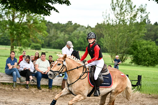 Goldene Schärpe Ponys in Löningen 2026 | 06062026 Gelände 1 Abt_1629 