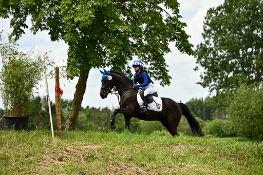 Goldene Schärpe Ponys in Löningen 2026 | 06062026 Gelände 1 Abt_1660 