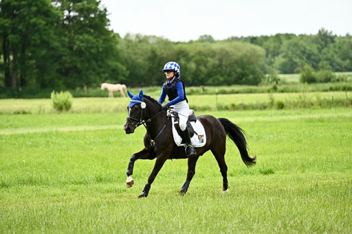 Goldene Schärpe Ponys in Löningen 2026 | 06062026 Gelände 1 Abt_1668 