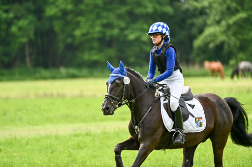 Goldene Schärpe Ponys in Löningen 2026 | 06062026 Gelände 1 Abt_1669 