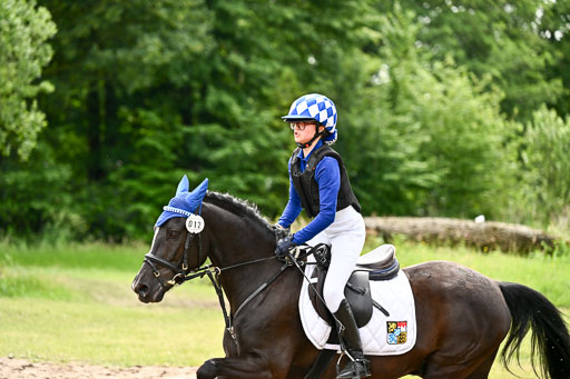 Goldene Schärpe Ponys in Löningen 2026 | 06062026 Gelände 1 Abt_1674 