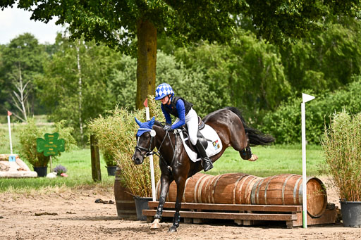 Goldene Schärpe Ponys in Löningen 2026 | 06062026 Gelände 1 Abt_1680 