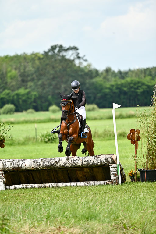 Goldene Schärpe Ponys in Löningen 2026 | 06062026 Gelände 2Abt_0001 