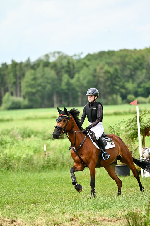 Goldene Schärpe Ponys in Löningen 2026 | 06062026 Gelände 2Abt_0003 