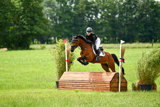 Goldene Schärpe Ponys in Löningen 2026 | 06062026 Gelände 2Abt_0008 