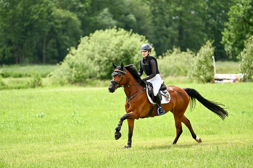 Goldene Schärpe Ponys in Löningen 2026 | 06062026 Gelände 2Abt_0011 