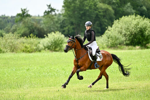 Goldene Schärpe Ponys in Löningen 2026 | 06062026 Gelände 2Abt_0012 