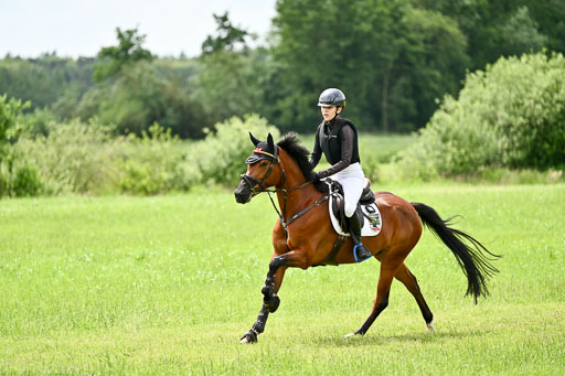 Goldene Schärpe Ponys in Löningen 2026 | 06062026 Gelände 2Abt_0013 