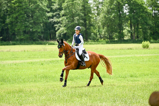 Goldene Schärpe Ponys in Löningen 2026 | 06062026 Gelände 2Abt_0091 