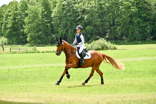 Goldene Schärpe Ponys in Löningen 2026 | 06062026 Gelände 2Abt_0092 