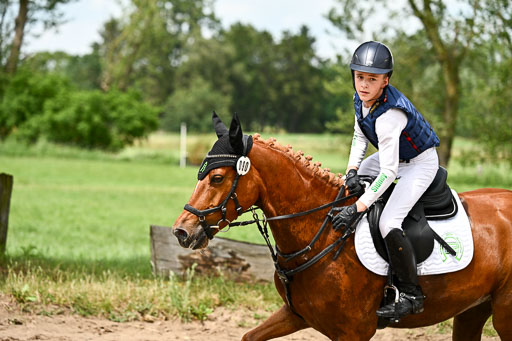 Goldene Schärpe Ponys in Löningen 2026 | 06062026 Gelände 2Abt_0103 