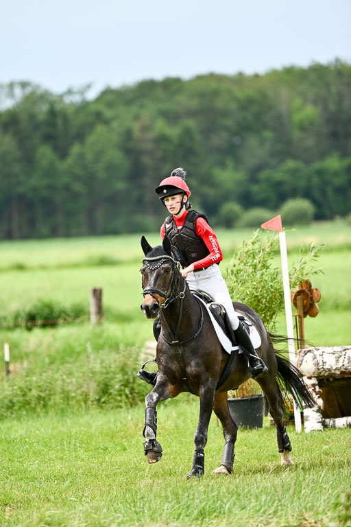 Goldene Schärpe Ponys in Löningen 2026 | 06062026 Gelände 2Abt_0109 