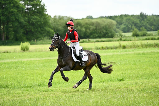 Goldene Schärpe Ponys in Löningen 2026 | 06062026 Gelände 2Abt_0117 