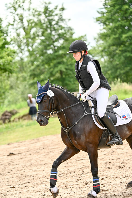 Goldene Schärpe Ponys in Löningen 2026 | 06062026 Gelände 2Abt_0129 