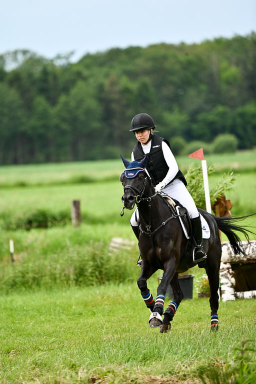 Goldene Schärpe Ponys in Löningen 2026 | 06062026 Gelände 2Abt_0132 