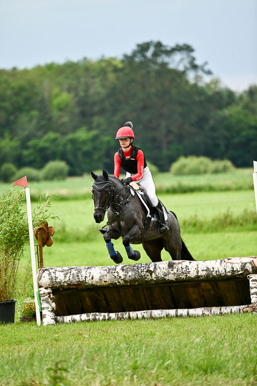 Goldene Schärpe Ponys in Löningen 2026 | 06062026 Gelände 2Abt_0161 