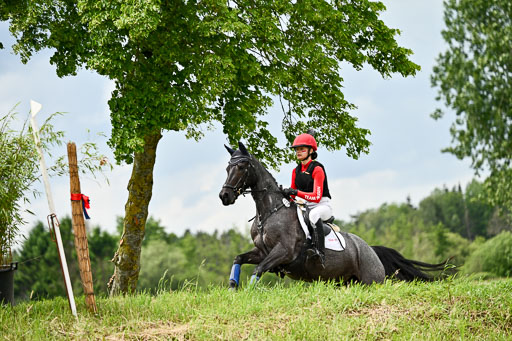 Goldene Schärpe Ponys in Löningen 2026 | 06062026 Gelände 2Abt_0163 