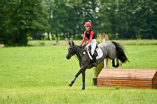 Goldene Schärpe Ponys in Löningen 2026 | 06062026 Gelände 2Abt_0170 