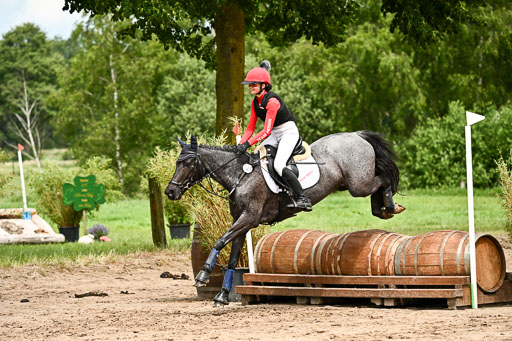 Goldene Schärpe Ponys in Löningen 2026 | 06062026 Gelände 2Abt_0180 