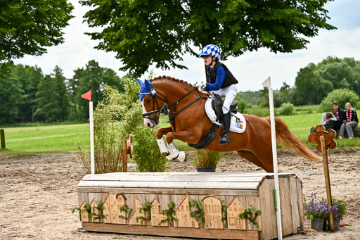 Goldene Schärpe Ponys in Löningen 2026 | 06062026 Gelände 2Abt_0190 