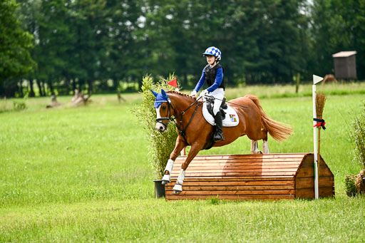 Goldene Schärpe Ponys in Löningen 2026 | 06062026 Gelände 2Abt_0194 