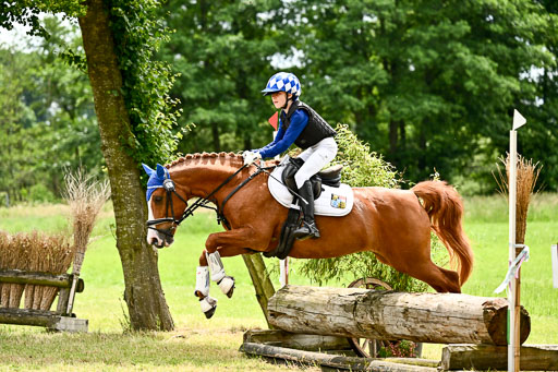 Goldene Schärpe Ponys in Löningen 2026 | 06062026 Gelände 2Abt_0197 