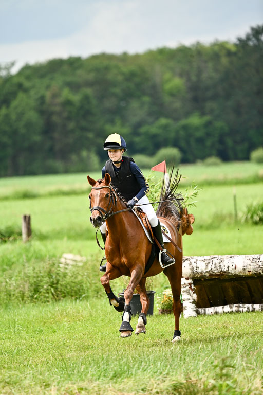 Goldene Schärpe Ponys in Löningen 2026 | 06062026 Gelände 2Abt_0217 