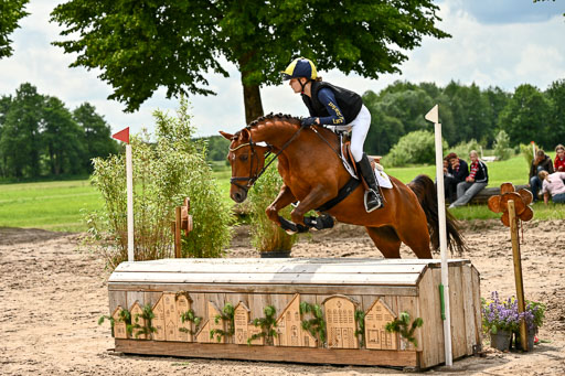 Goldene Schärpe Ponys in Löningen 2026 | 06062026 Gelände 2Abt_0219 