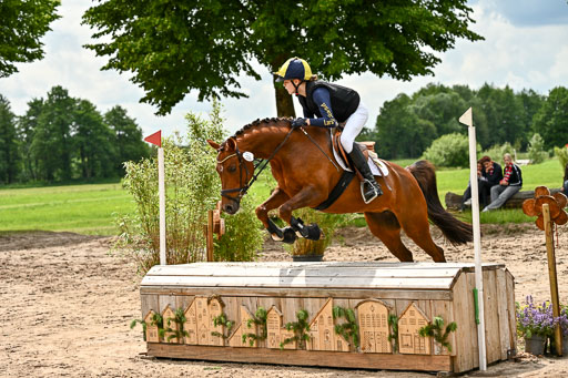 Goldene Schärpe Ponys in Löningen 2026 | 06062026 Gelände 2Abt_0220 