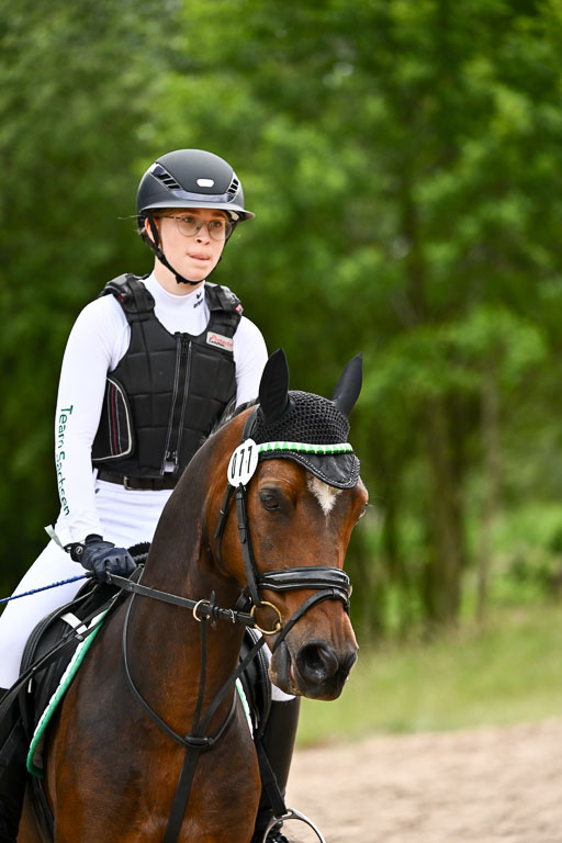 Goldene Schärpe Ponys in Löningen 2026 | 06062026 Gelände 2Abt_0231 