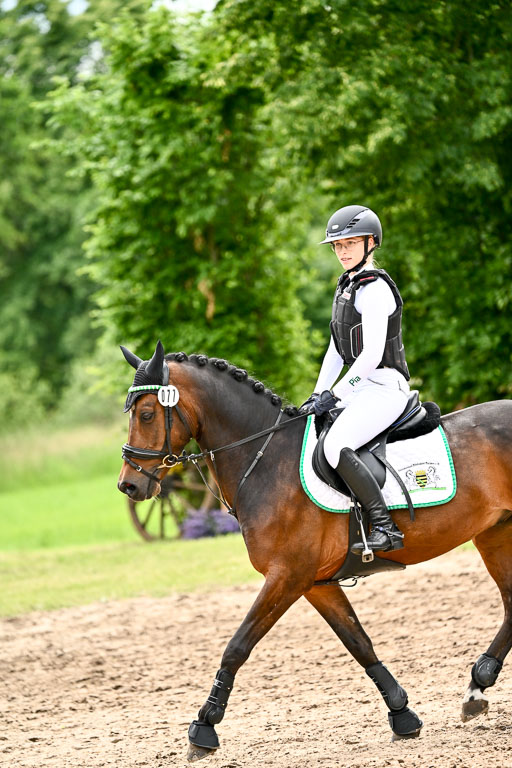Goldene Schärpe Ponys in Löningen 2026 | 06062026 Gelände 2Abt_0232 
