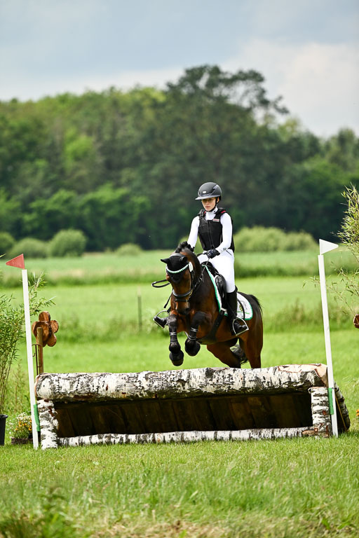 Goldene Schärpe Ponys in Löningen 2026 | 06062026 Gelände 2Abt_0240 
